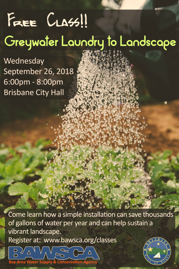 Free Class! Greywater Laundry to Landscape Wed Sept 26 6-8pm Brisbane City Hall